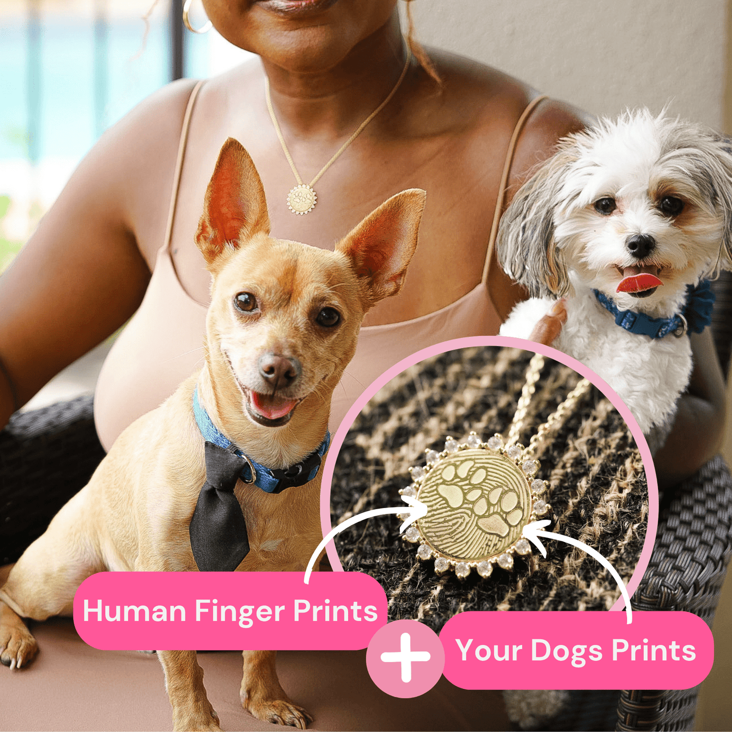 The Rise for Pet Moms